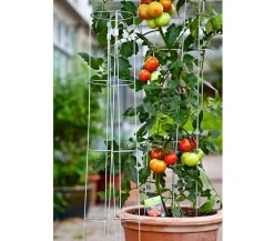 Bellissa Rankgitter & Obelisken - Tomatenturm Silber
