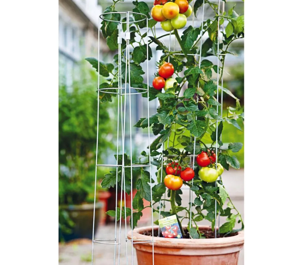 Bellissa Rankgitter & Obelisken - Tomatenturm Silber