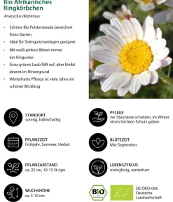 Dehner Bio Bio Afrikanisches Ringkörbchen Discount