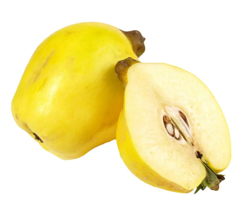 Dehner Bio Bio-Obstbäume|Birnen- & Apfelbäume > Bio Birnenquitte 'Cydora Robusta', Landlust Kollektion