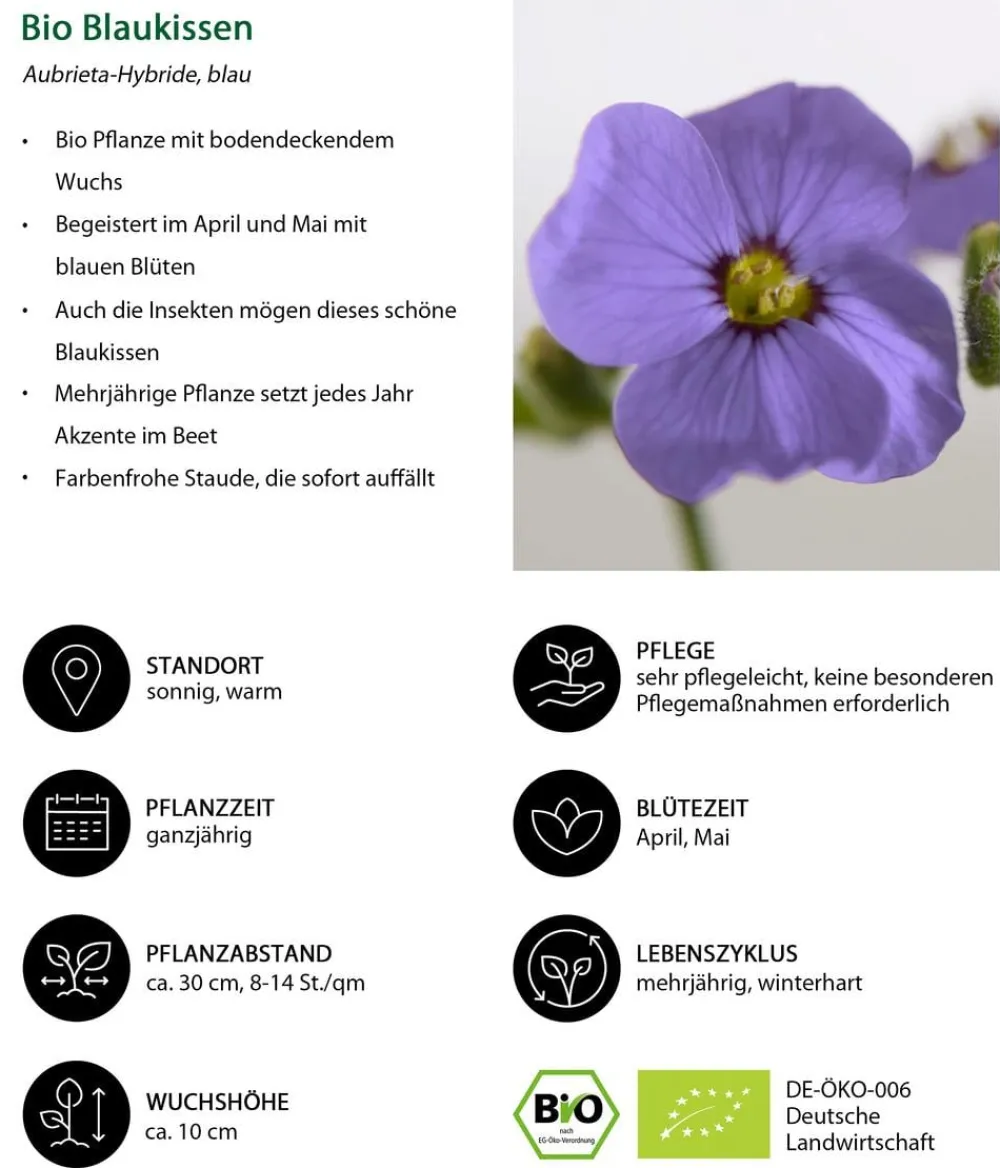 Dehner Bio Steingartenstauden|Bio Stauden > Bio kissen,