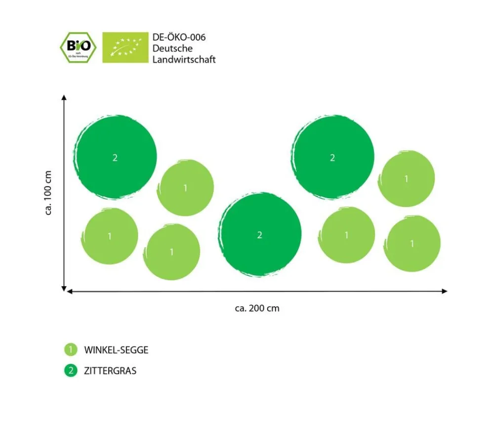 Dehner Bio Bodendecker & Efeu|Gräser > Bio Bodendecker Gräser-Set e Oase, 9-teilig