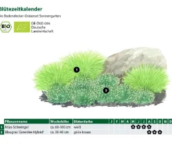 Dehner Bio Bio Bodendecker Gräser-Set Sonnengarten, 9-teilig Outlet