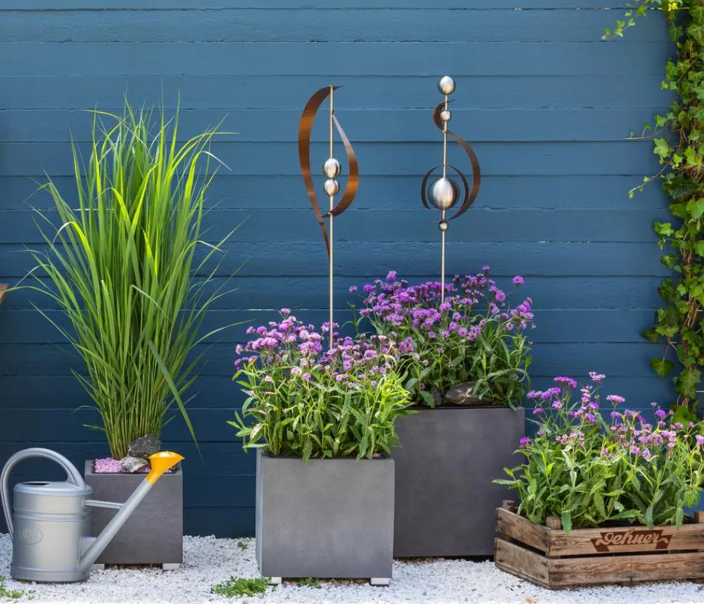Dehner Bio Steingartenstauden|Bio Stauden - Bio Eisenkraut Lavendel