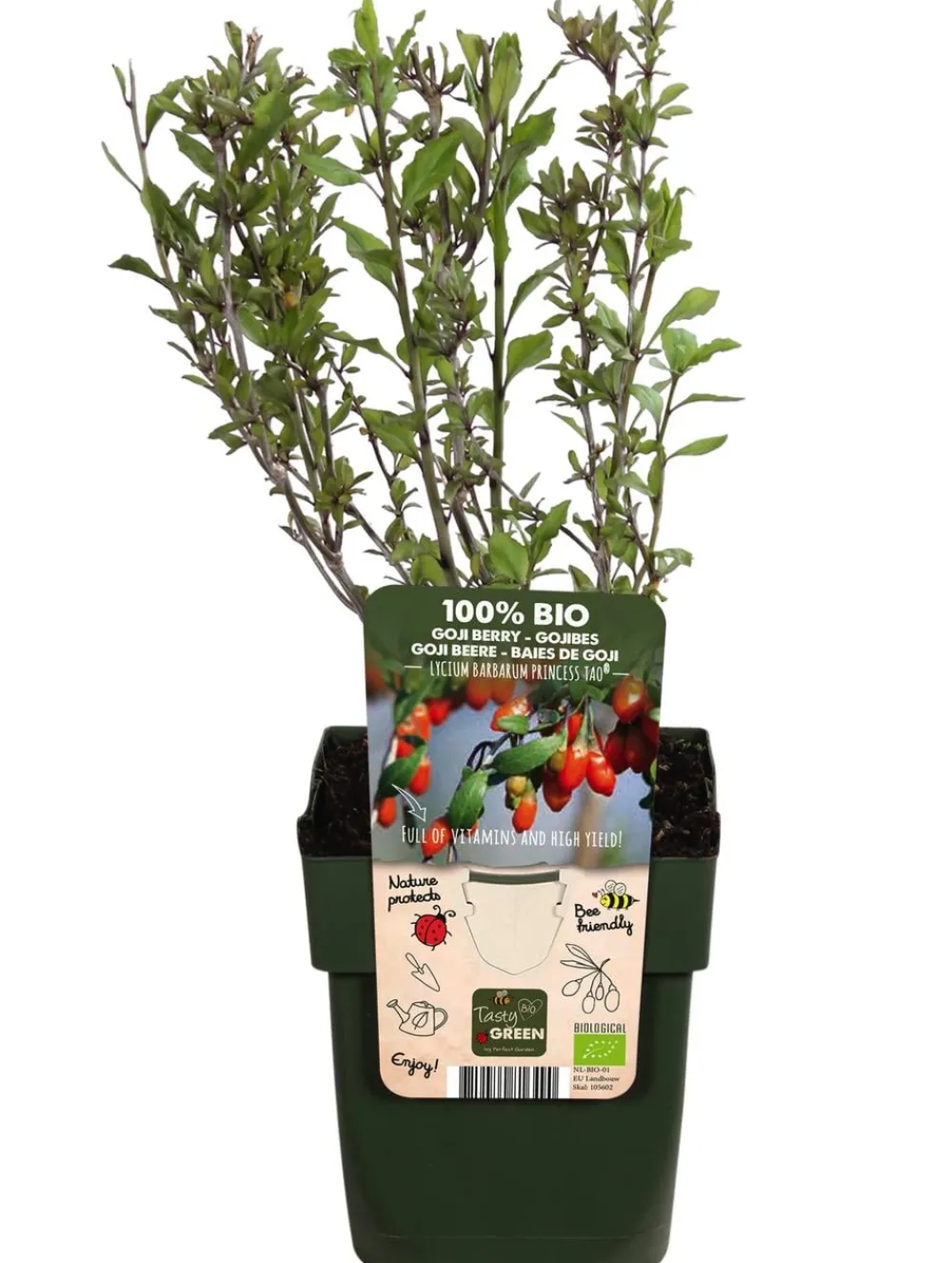 Dehner Bio Weinreben & Gartenobst|Bio-Obststräucher - Bio Goji-Beere 'Princess Tao®' Rot