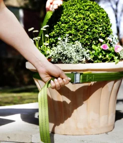 Bio Green Mehr Blumentopfzubehör - Tragegurt für Kübelpflanzen, , ca. L250/B3,5 cm Grün