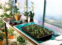 Bio Green Wärmeplatte für Pflanzen Grün Discount