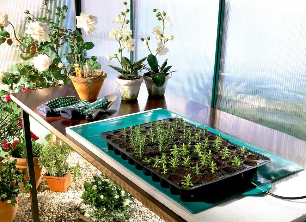 Bio Green Gewächshaus Zubehör - Wärmeplatte für Pflanzen Grün