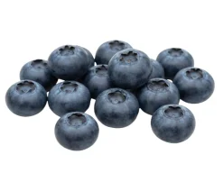 Dehner Bio Bio Heidelbeere 'Hortblue Petite®' Blau New