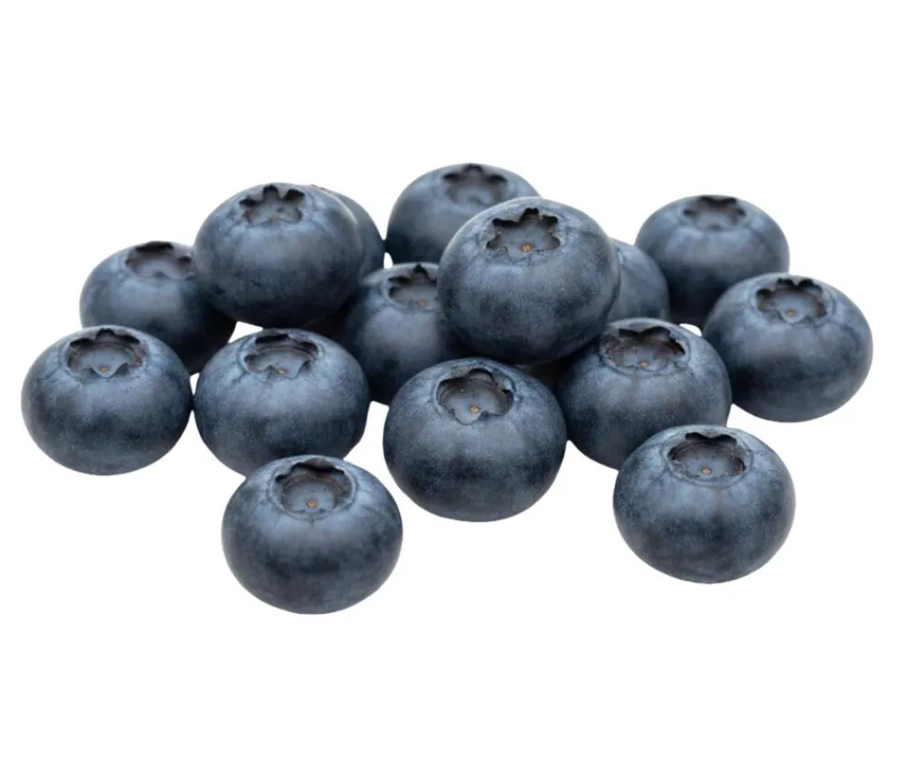 Dehner Bio Bio Heidelbeere 'Hortblue Petite®' Blau New