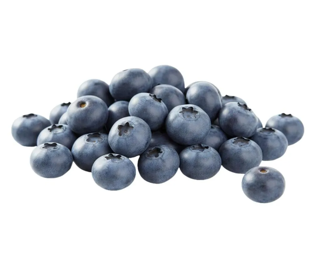 Dehner Bio Bio-Obststräucher > Bio Heidelbeere 'Reka'