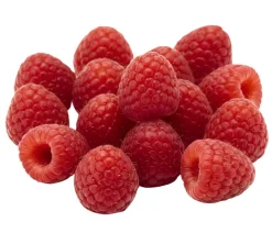 Dehner Bio Bio-Obststräucher - Bio Himbeere 'Sanibelle'® Hellrot