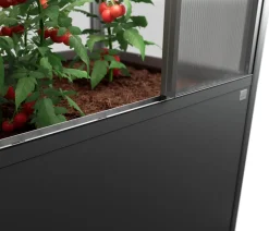 biohort Gewächshaus Florentina 2 x 1 MAXI, ca. B201,6/H213,4/T104 cm Dunkelgrau Online
