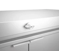 biohort Gartenschränke & Minigaragen - Metallgerätebox HighBoard 160 Silber