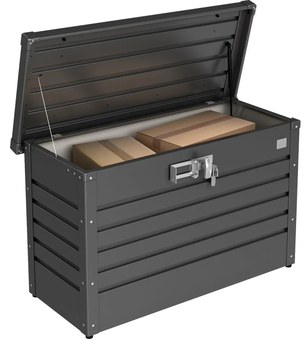 biohort Aufbewahrungsboxen > PaketBox 100