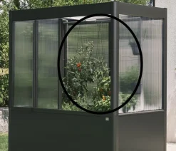 biohort Gewächshaus Zubehör - Rankhilfe für Gewächshaus Florentina