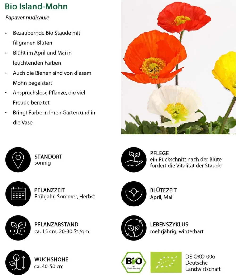 Dehner Bio Steingartenstauden|Bio Stauden > Bio Island-Mohn