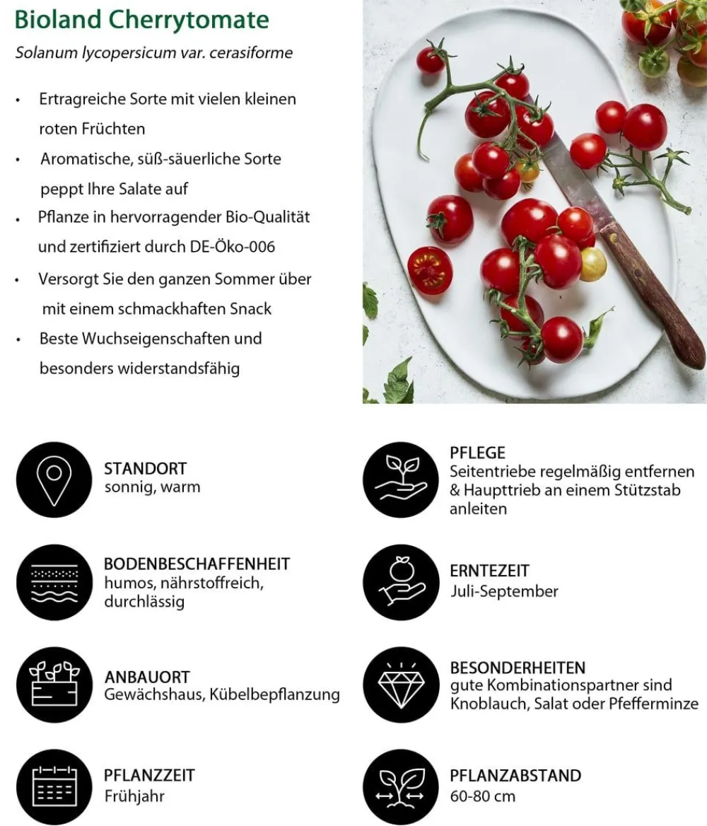 Bioland Cherrytomate Rot Clearance