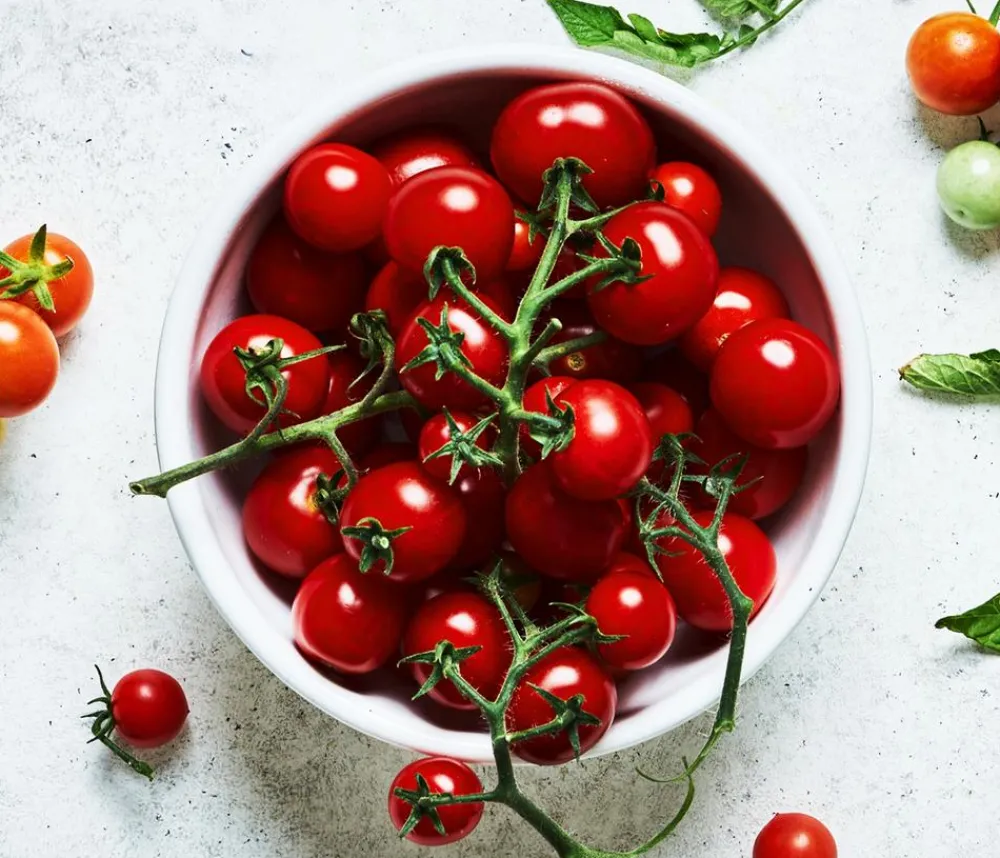 Bioland Cherrytomate Rot Clearance