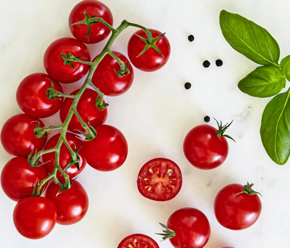 Bioland Auberginen- & Tomatenpflanzen|Bio-Gemüsepflanzen > Cherrytomate, veredelt