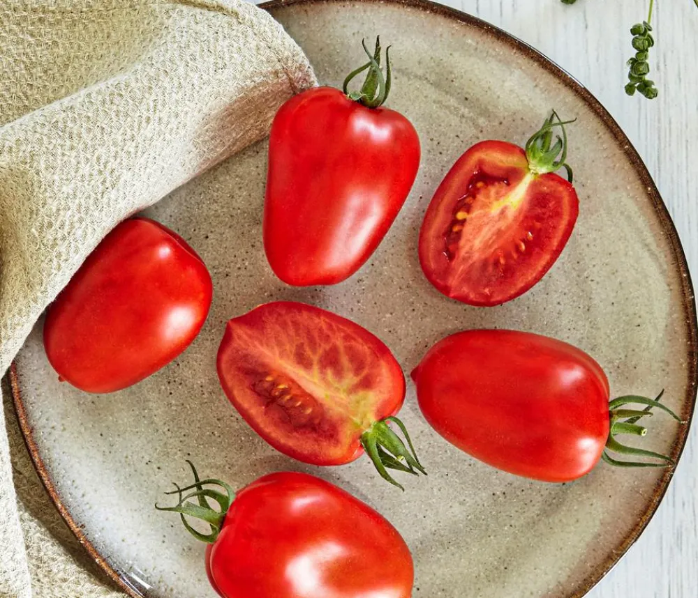 Bioland Eiertomate Rot Clearance