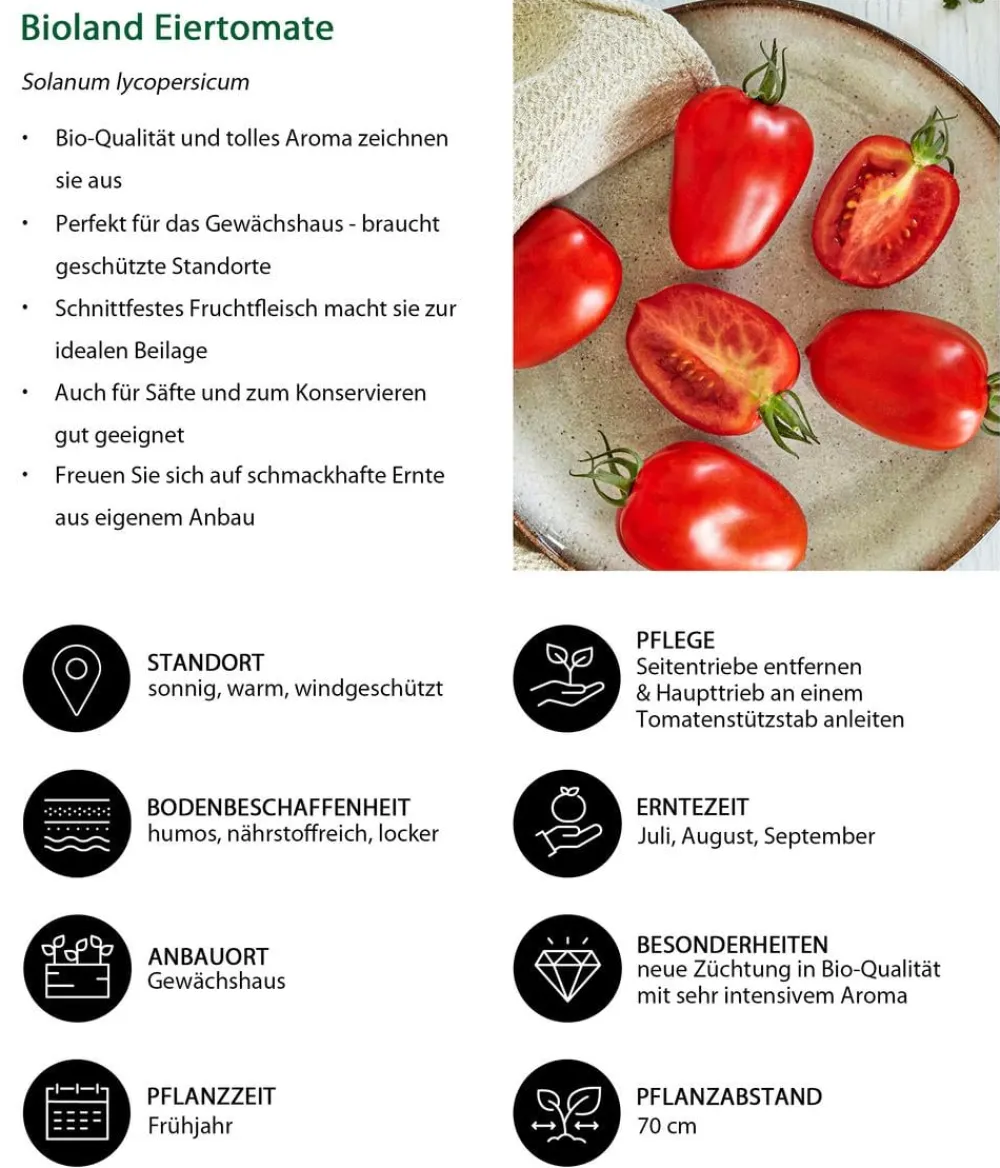 Bioland Eiertomate Rot Clearance