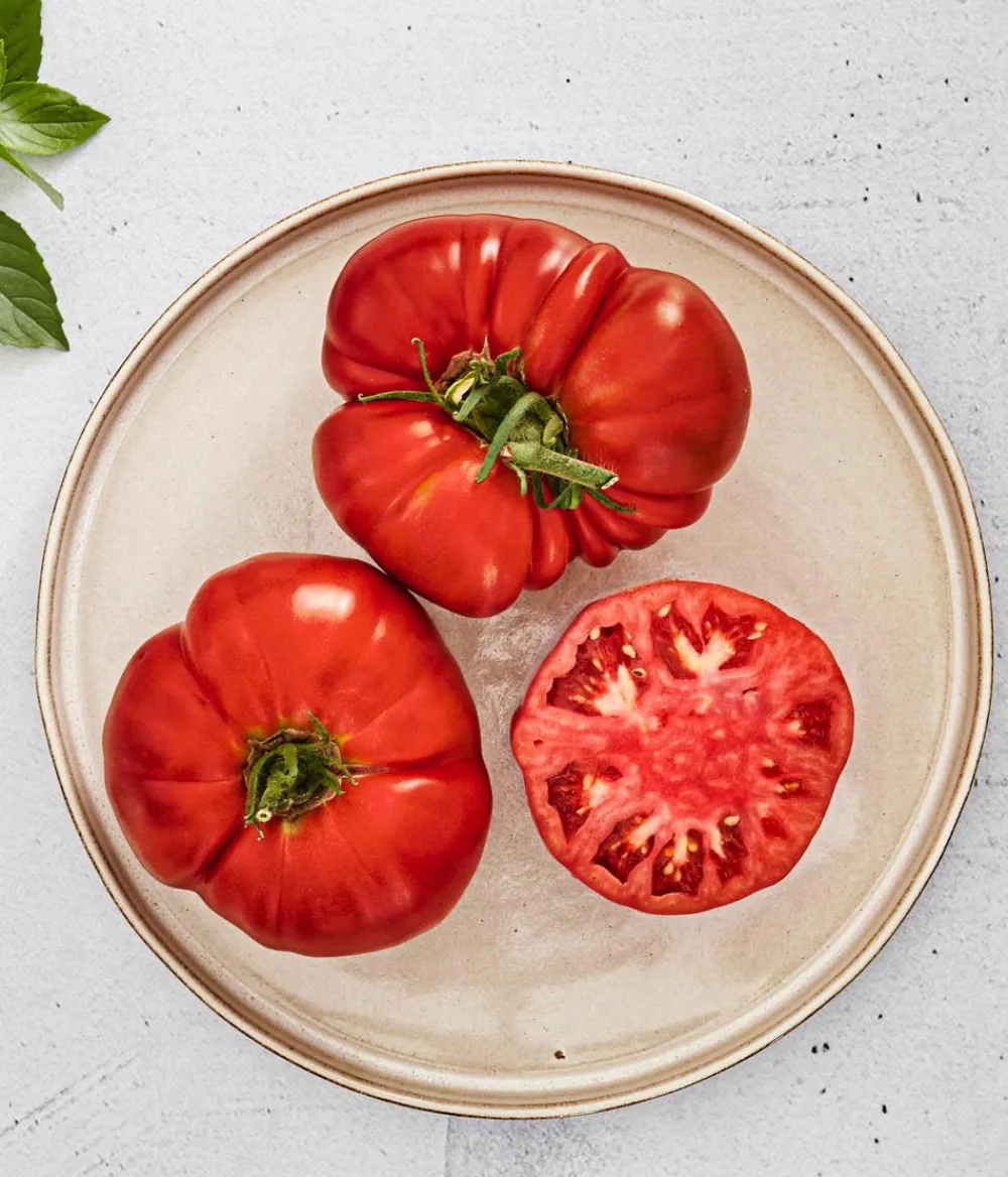 Bioland Auberginen- & Tomatenpflanzen|Bio-Gemüsepflanzen - Fleischtomate Rot