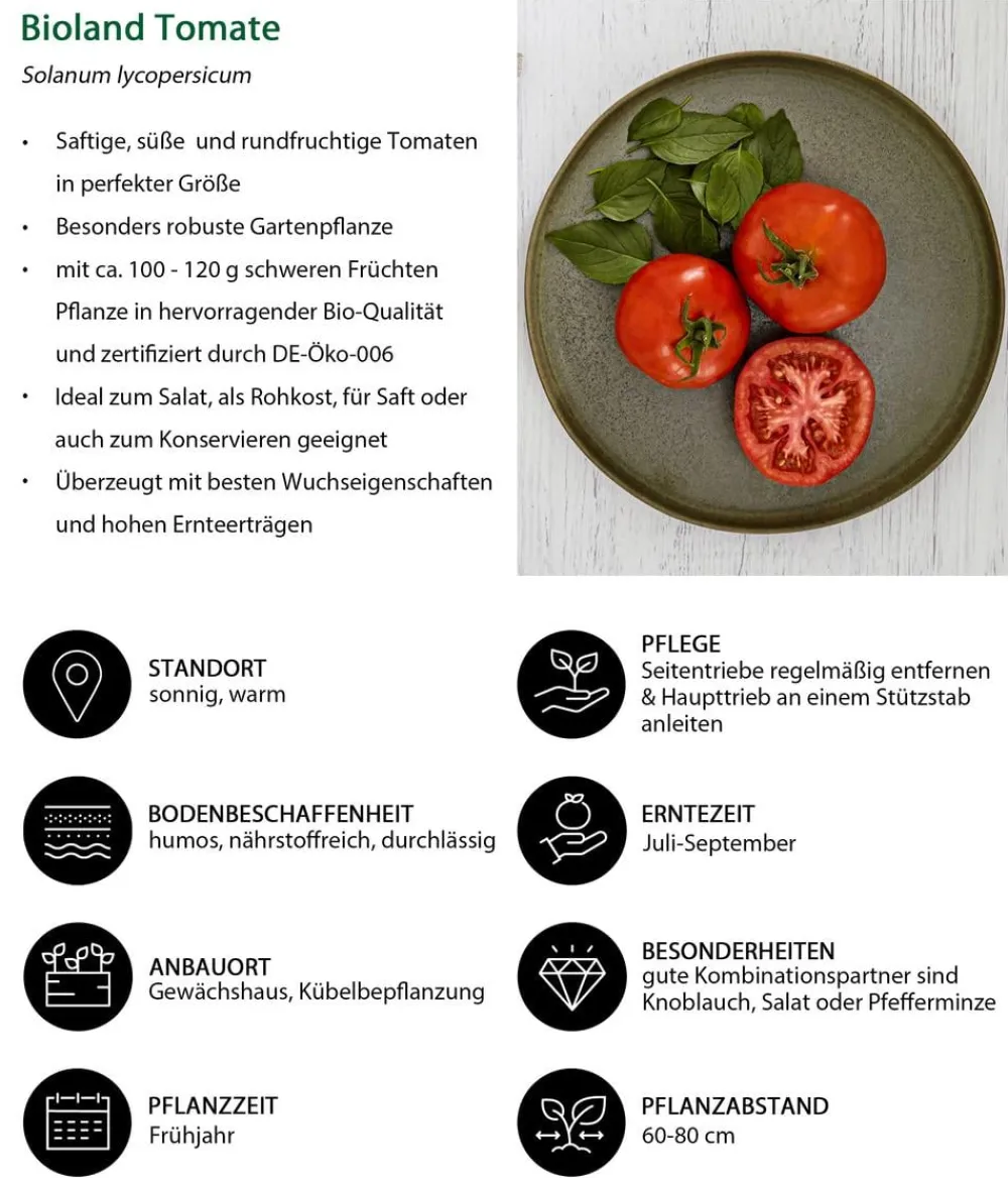 Bioland Gemüse-Sets|Bio-Gemüsepflanzen > Gemüseset Gemüsetraum, 6-teilig