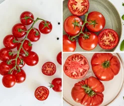 Bioland Gemüseset Tomatensalat, 3-teilig Rot Online