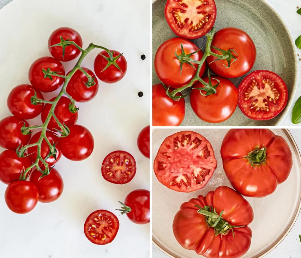 Bioland Gemüseset Tomatensalat, 3-teilig Rot Online