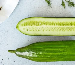 Bioland Zucchini- & Gurkenpflanzen|Bio-Gemüsepflanzen - Gurke, veredelt Grün