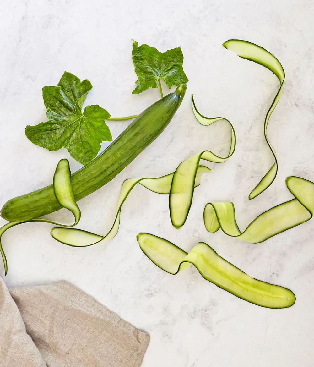 Bioland Zucchini- & Gurkenpflanzen|Bio-Gemüsepflanzen - Gurke, veredelt Grün
