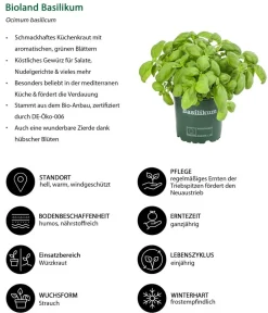 Bioland Nutzgarten-Set Gute Nachbarschaft, 6-teilig Discount