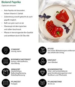 Bioland Nutzgarten-Set Gute Nachbarschaft, 6-teilig Discount