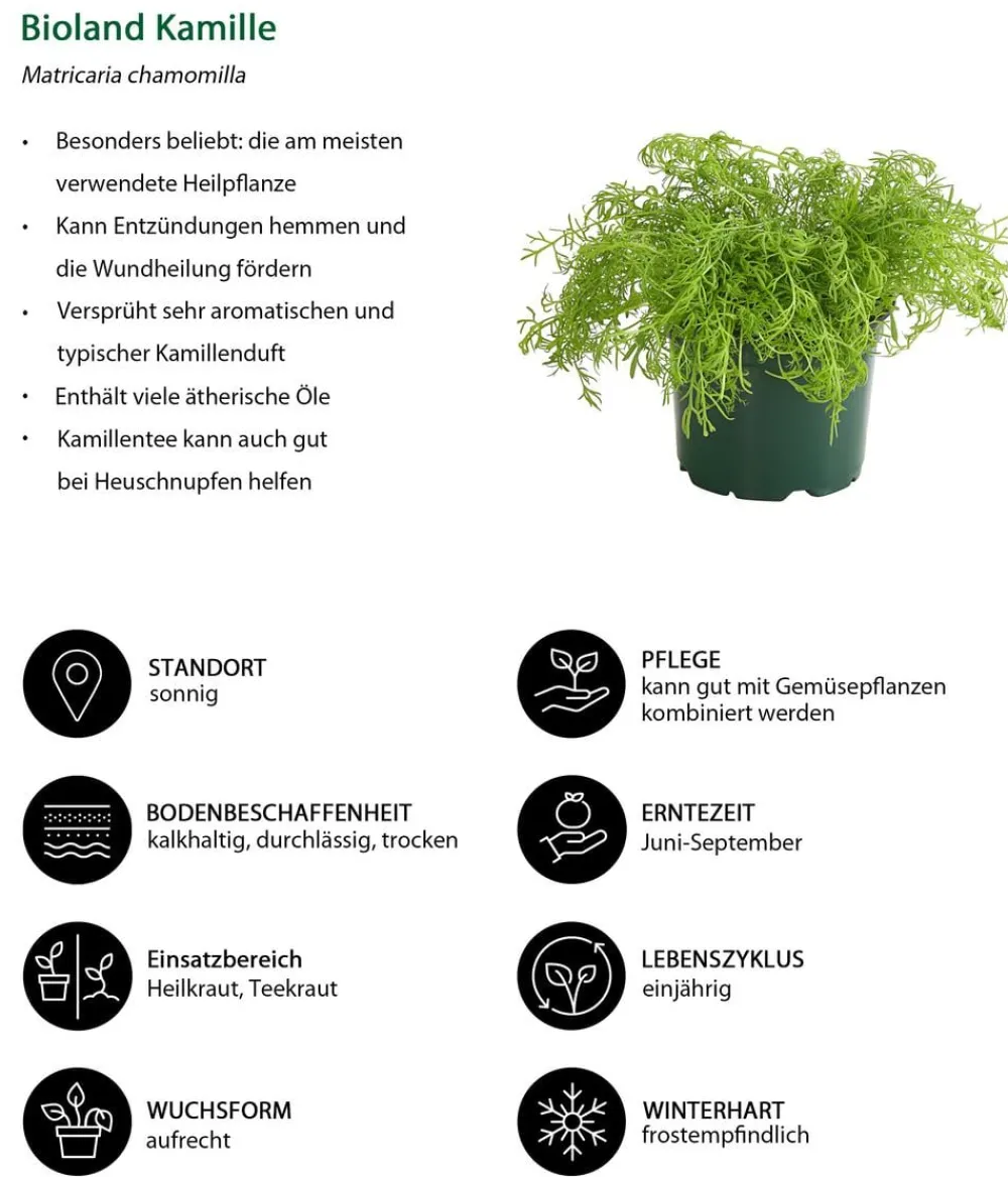 Bioland Nutzgarten-Set Gute Nachbarschaft, 6-teilig Discount