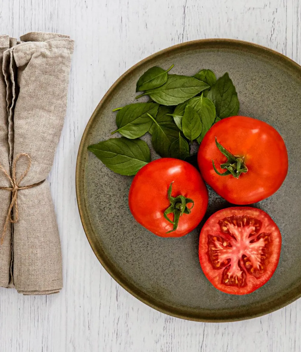 Bioland Auberginen- & Tomatenpflanzen|Bio-Gemüsepflanzen > Tomate, rundfruchtig