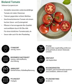 Bioland Auberginen- & Tomatenpflanzen|Bio-Gemüsepflanzen - Tomate, veredelt Rot
