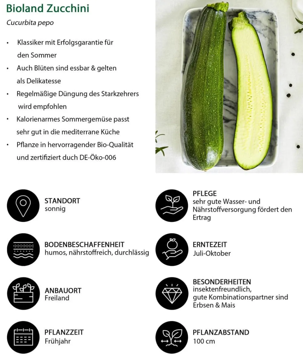 Bioland Gartengemüse|Bio-Gemüsepflanzen - Zucchini Dunkelgrün