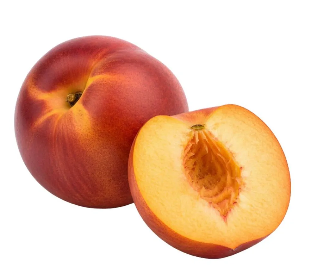 Dehner Bio Bio Nektarine 'Nectared', Landlust Kollektion Best