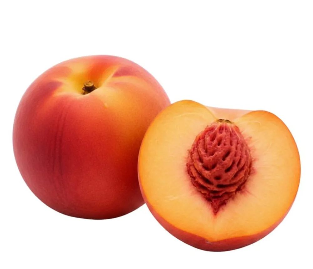 Dehner Bio Bio-Obstbäume|Aprikosen- & Pfirsichbäume > Bio Pfirsich 'Suncrest', Landlust Kollektion