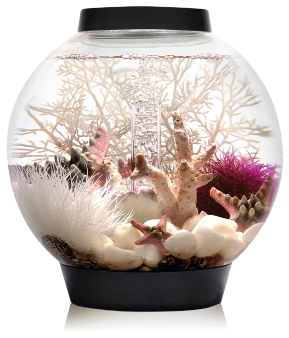 biOrb® Einsteiger Aquarien|Einzel Aquarien > Aquarium CLASSIC 15 LED