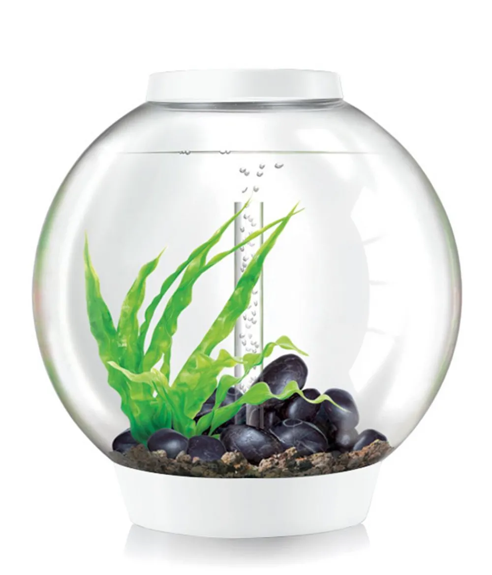 biOrb® Aquarium CLASSIC 60 LED Weiß Discount