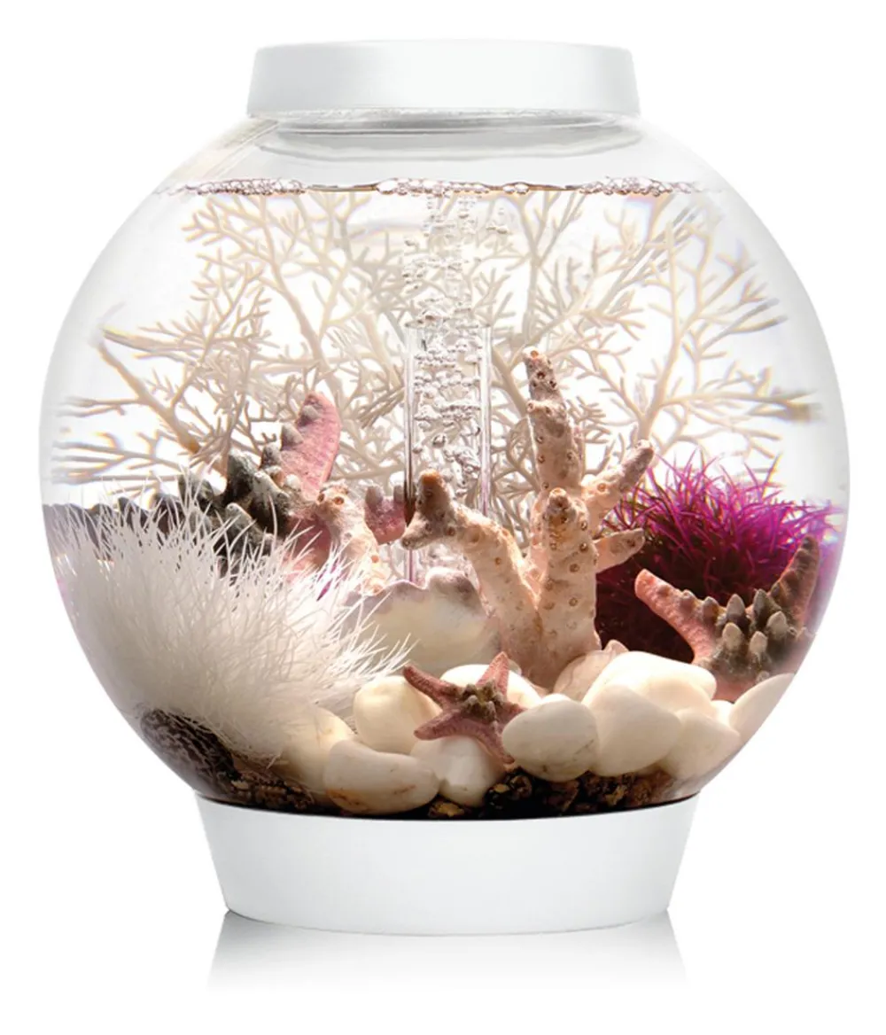 biOrb® Aquarium CLASSIC 15 LED Weiß Clearance