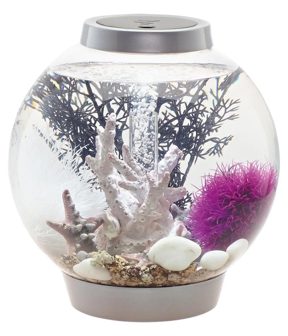 biOrb® Einsteiger Aquarien|Einzel Aquarien - Aquarium CLASSIC 15 LED Silber
