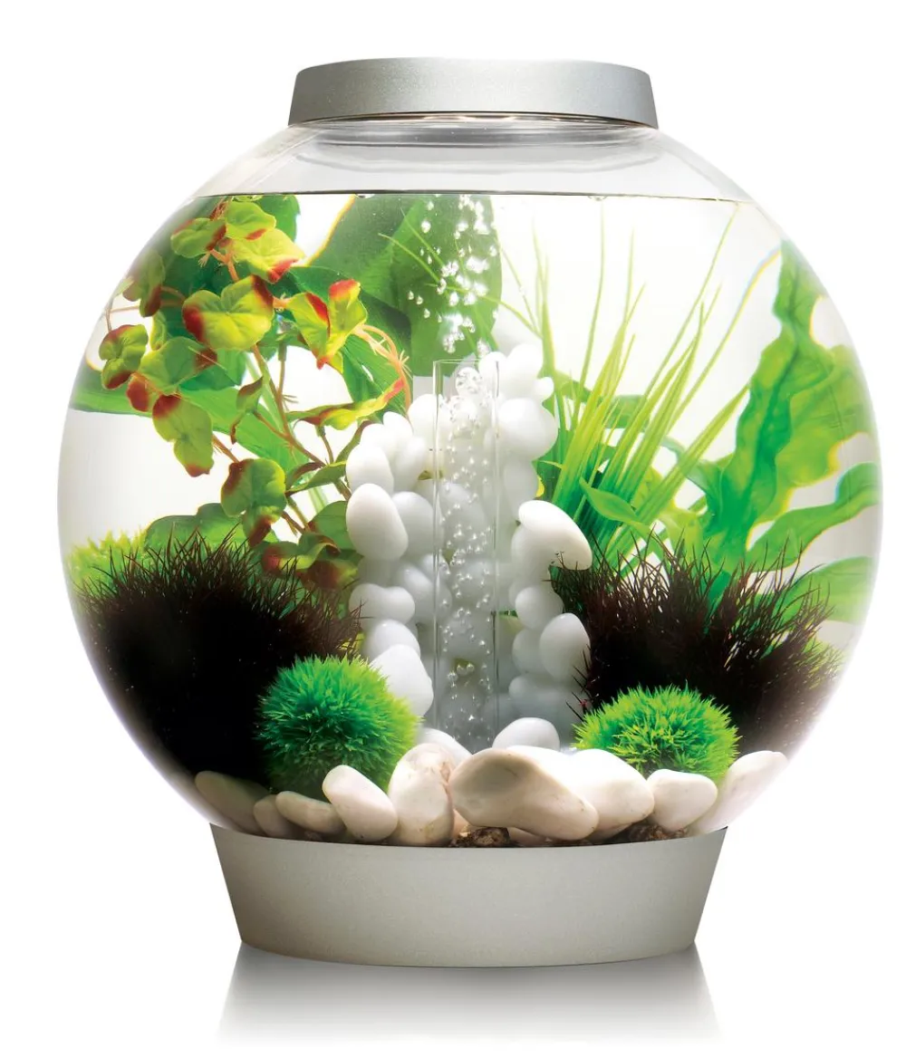 biOrb® Einsteiger Aquarien|Einzel Aquarien - Aquarium CLASSIC 30 LED Silber
