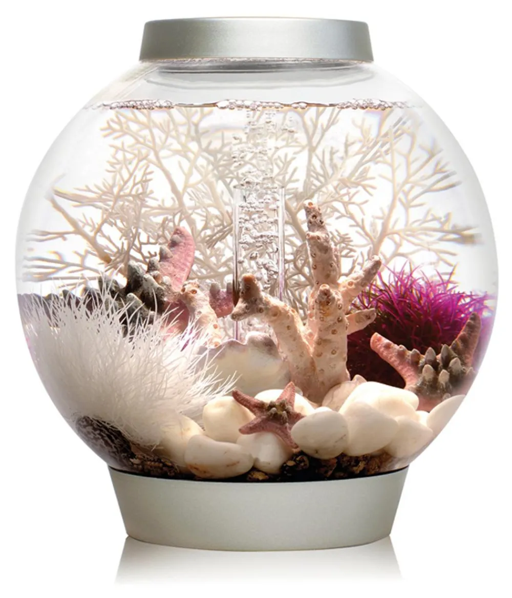 biOrb® Einsteiger Aquarien|Einzel Aquarien > Aquarium CLASSIC 15 MCR