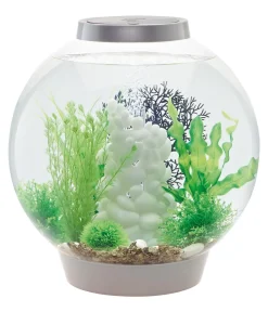 biOrb® Einsteiger Aquarien|Einzel Aquarien > Aquarium Classic 30 MCR