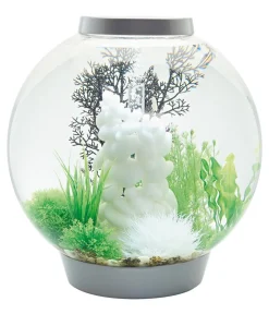 biOrb® Einzel Aquarien > Aquarium CLASSIC 60 MCR
