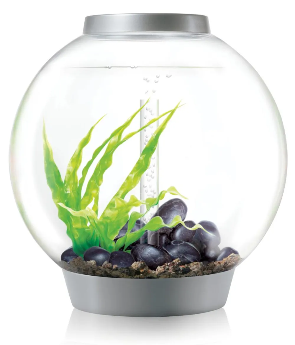 biOrb® Einzel Aquarien > Aquarium CLASSIC 60 MCR