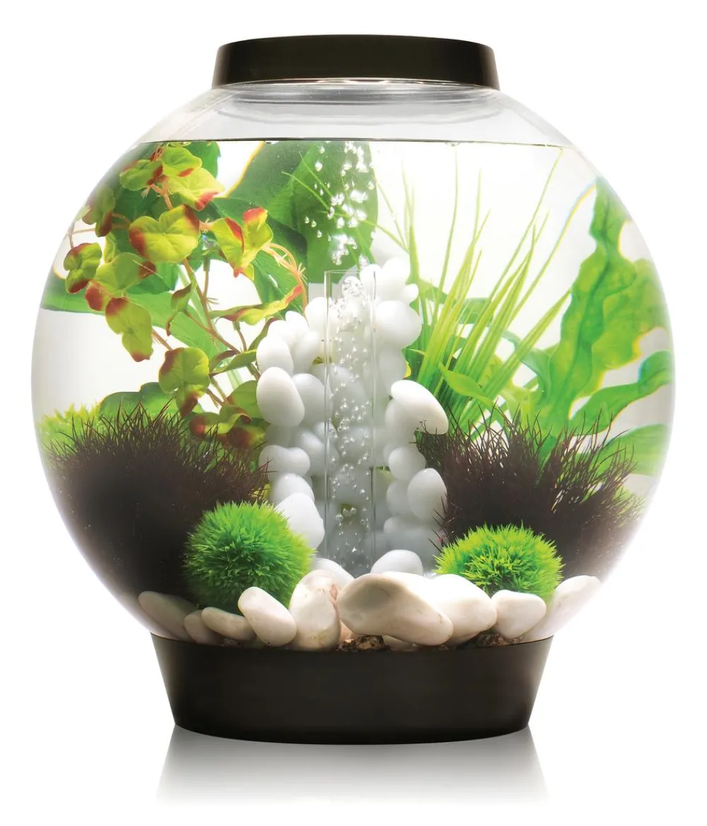 biOrb® Aquarium Classic 30 MCR Schwarz New